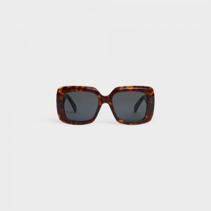 Classic Havana Celine Square S263 in Acetate Sunglasses | CL-592376