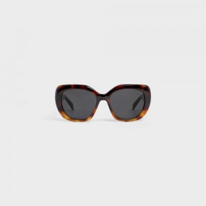 Gradient Havana Celine Triomphe 06 in Acetate Sunglasses | CL-592406