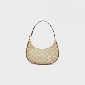 Grege Celine Ava Bag in and calfskin Triomphe Canvas | CL-593129