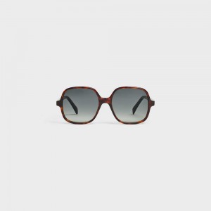 Red Havana Celine Oversized S244 in Acetate Sunglasses | CL-592435