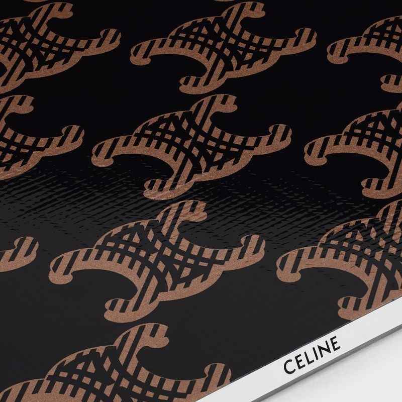 Black Celine SNOWBOARD TRIOMPHE CANVAS PRINT Lifestyle | CL-591682