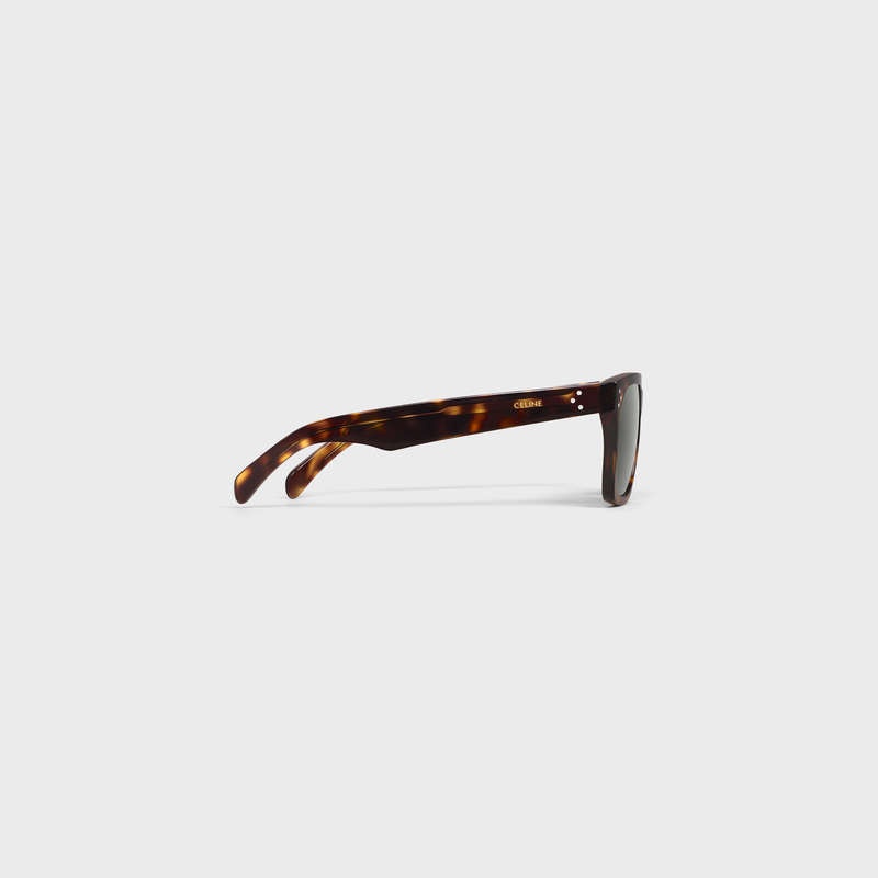 Caramel Havana Celine Frame 45 in Acetate Sunglasses | CL-591737