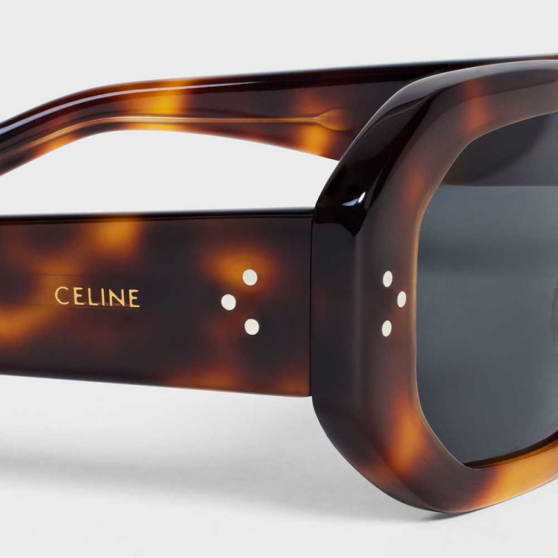 Classic Havana Celine Square S255 in Acetate Sunglasses | CL-592402