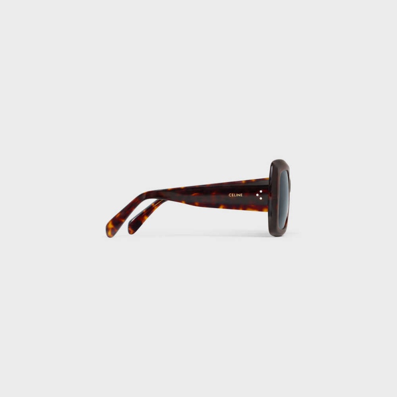 Classic Havana Celine Square S263 in Acetate Sunglasses | CL-592376