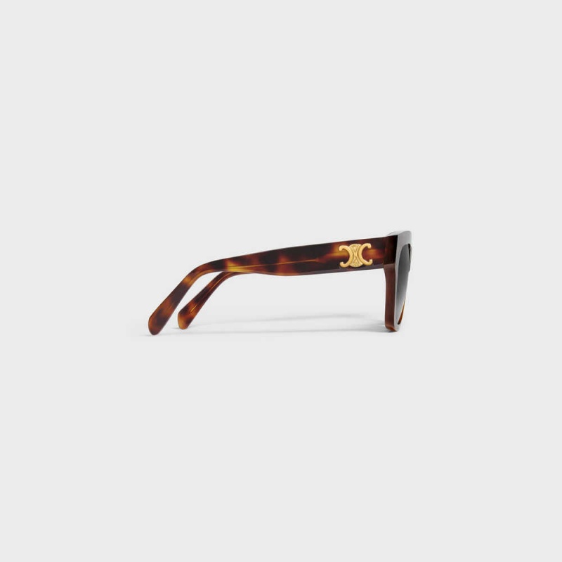 Classic Havana Celine Triomphe 09 in Acetate Sunglasses | CL-592389