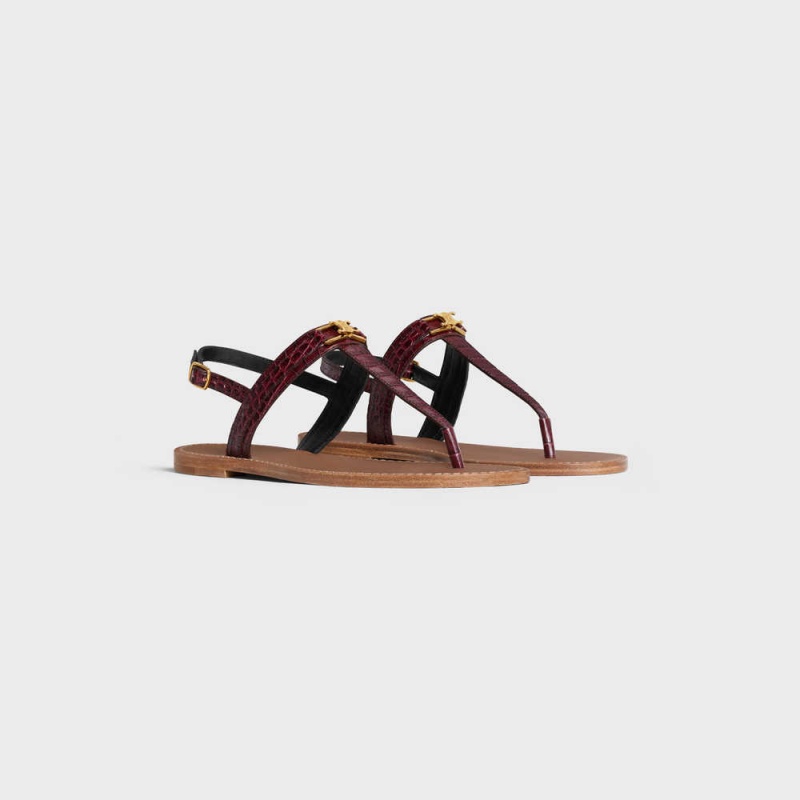 Dark Burgundy Celine Triomphe Thong in CROCODILE STAMPED CALFSKIN Sandals | CL-592589