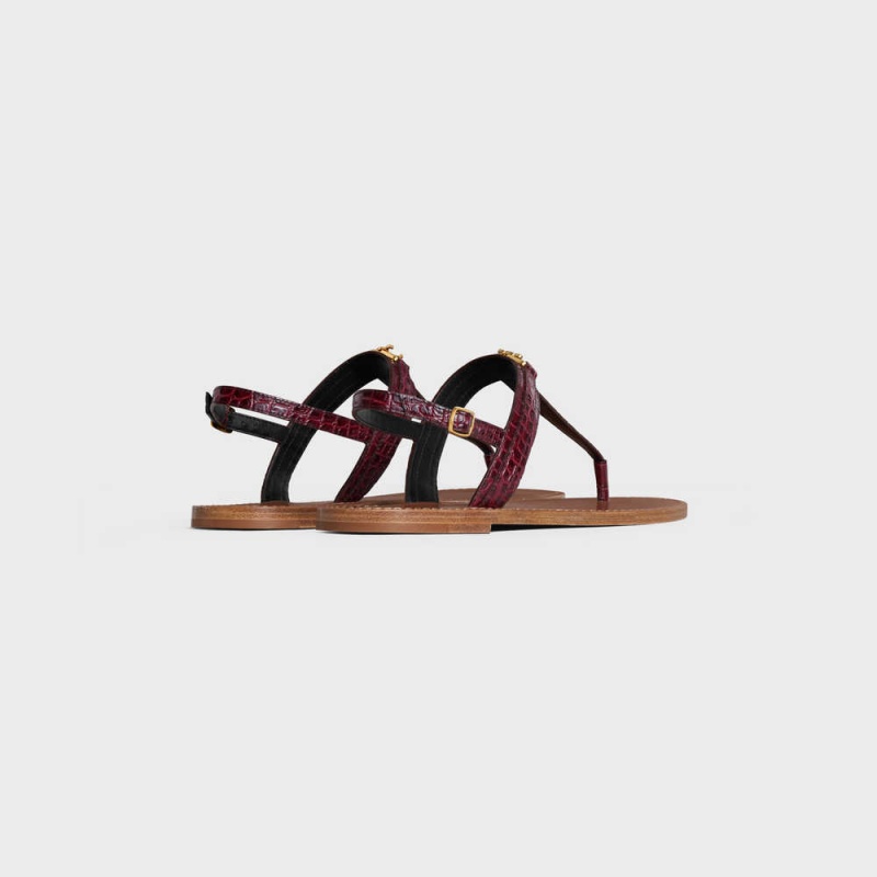 Dark Burgundy Celine Triomphe Thong in CROCODILE STAMPED CALFSKIN Sandals | CL-592589