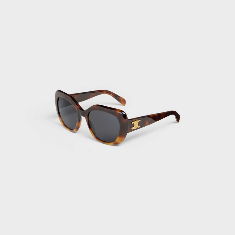 Gradient Havana Celine Triomphe 06 in Acetate Sunglasses | CL-592406