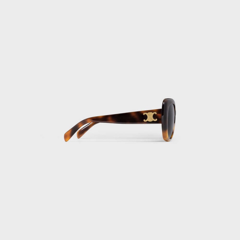 Gradient Havana Celine Triomphe 06 in Acetate Sunglasses | CL-592406