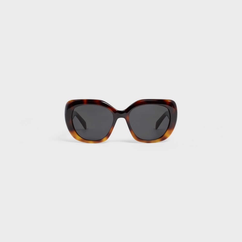 Gradient Havana Celine Triomphe 06 in Acetate Sunglasses | CL-592406