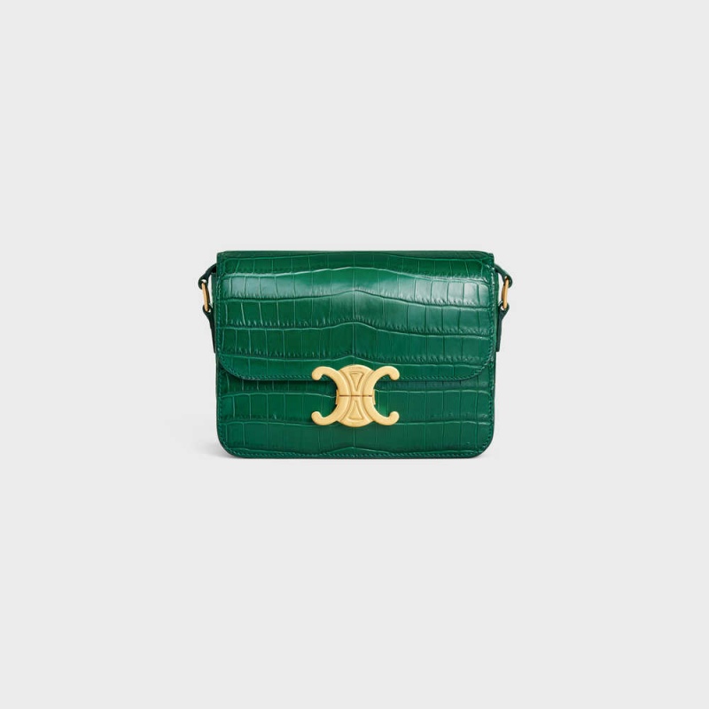 Green Celine Teen Bag in Niloticus Crocodile Triomphe | CL-593210