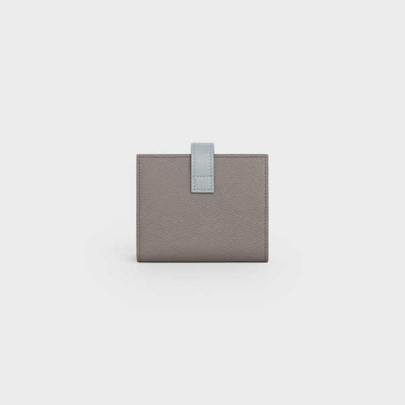 Pebble/ Mineral Celine Small Strap Essentials in Bicolour Grained Calfskin Wallets | CL-592987