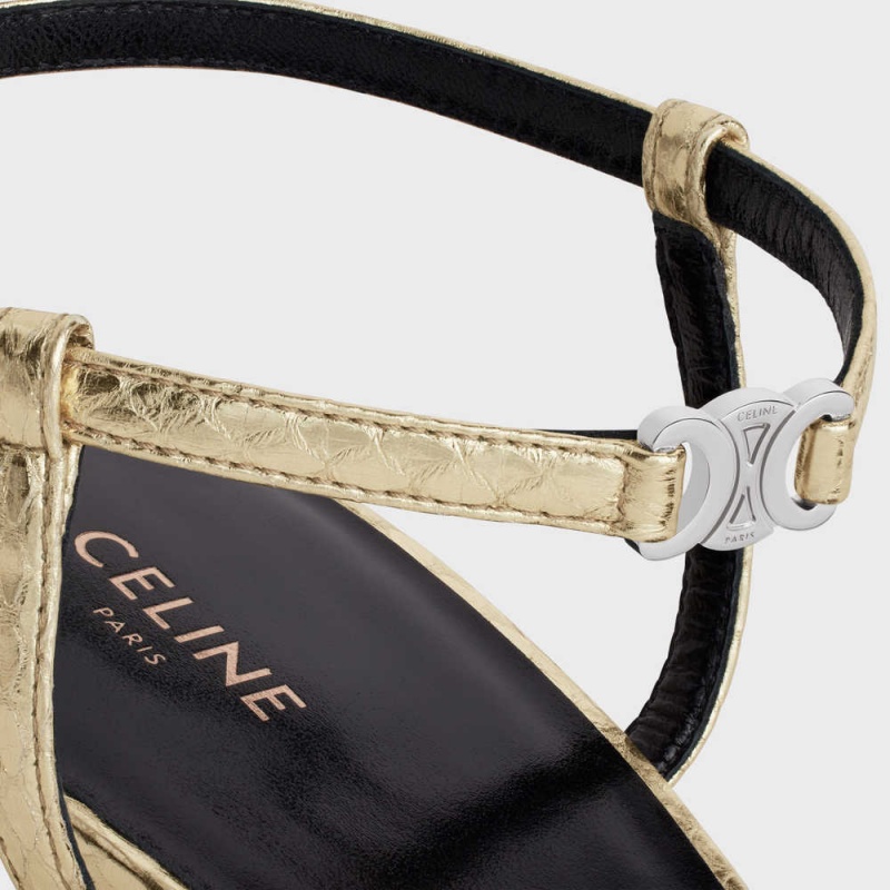 Platinium Celine KITTEN WITH STRAP TRIOMPHE in LAMINATED AYERS Pumps | CL-592564