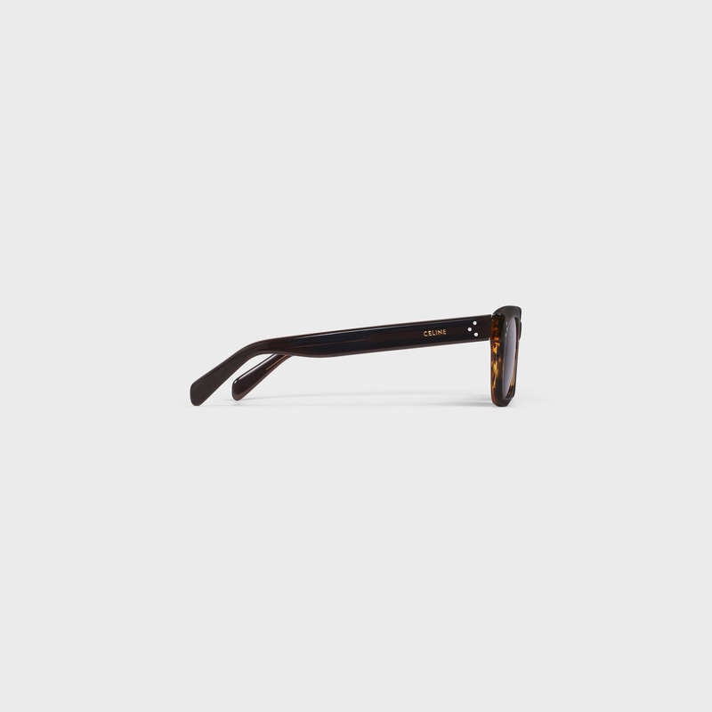 Striped Havana Celine Frame 41 in Acetate Sunglasses | CL-591741